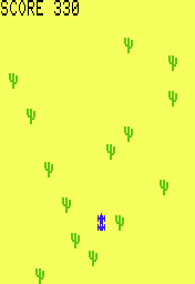 Desert Race